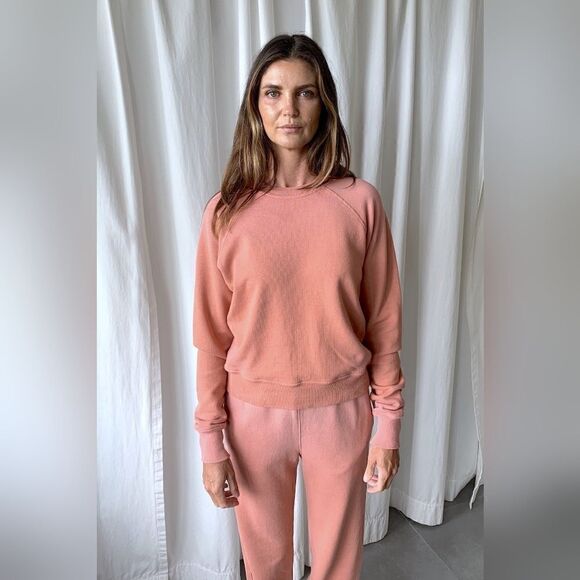 Re/done Hanes Classic Raglan Crewneck Sweatshirt Faded Clay Size Small NWT - Picture 7 of 11